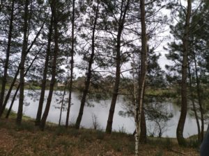 LAC ARTIFICIEL