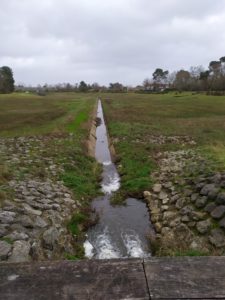 le PEUGUE