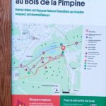 en route vers la pimpine