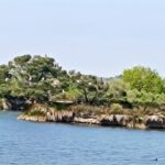 réserve ornithologique(île domaine de Certes)