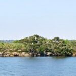 réserve ornithologique(île domaine de Certes)